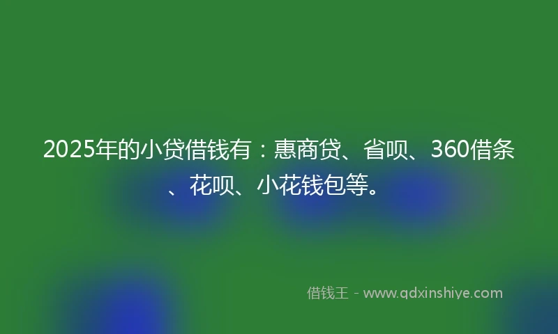2025年的小贷借钱有：惠商贷、省呗、360借条、花呗、小花钱包等。