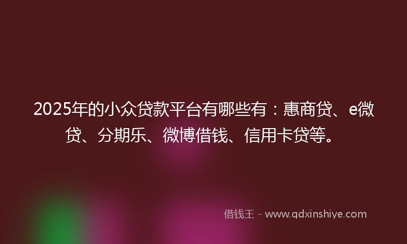 2025年的小众贷款平台有哪些有：惠商贷、e微贷、分期乐、微博借钱、信用卡贷等。