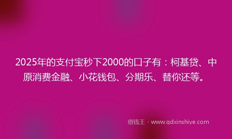 2025年的支付宝秒下2000的口子有：柯基贷、中原消费金融、小花钱包、分期乐、替你还等。