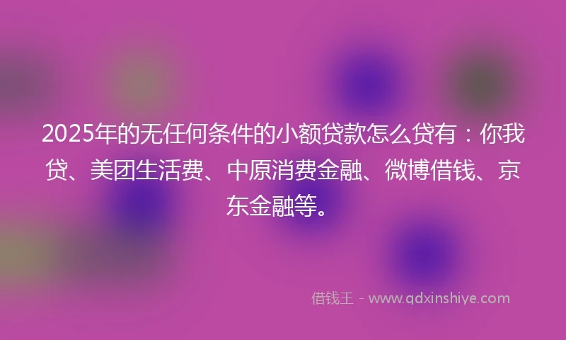 2025年的无任何条件的小额贷款怎么贷有：你我贷、美团生活费、中原消费金融、微博借钱、京东金融等。