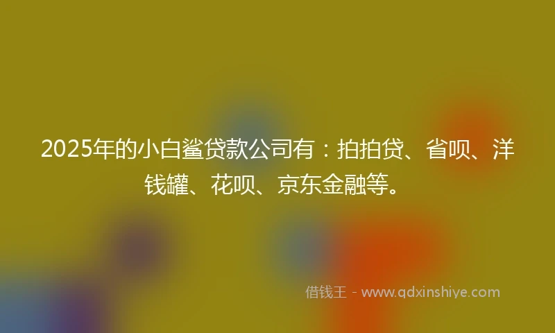 2025年的小白鲨贷款公司有：拍拍贷、省呗、洋钱罐、花呗、京东金融等。