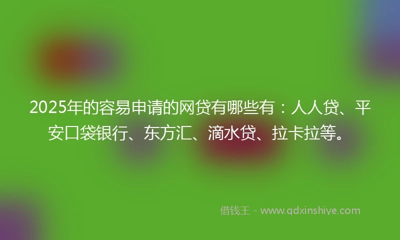 2025年的容易申请的网贷有哪些有：人人贷、平安口袋银行、东方汇、滴水贷、拉卡拉等。