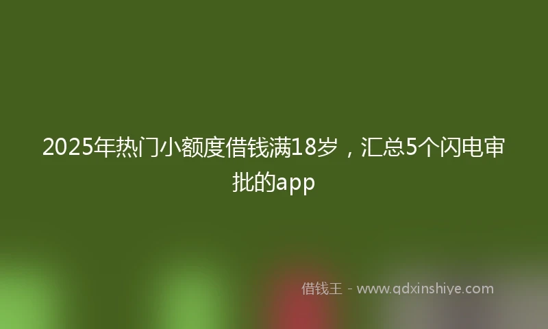 2025年热门小额度借钱满18岁，汇总5个闪电审批的app