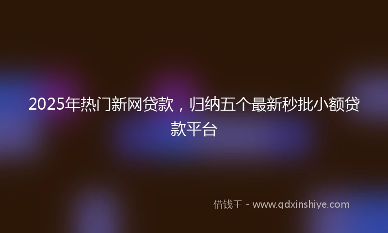 2025年热门新网贷款，归纳五个最新秒批小额贷款平台