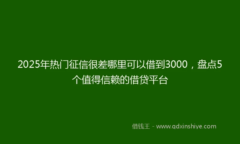 2025年热门征信很差哪里可以借到3000，盘点5个值得信赖的借贷平台
