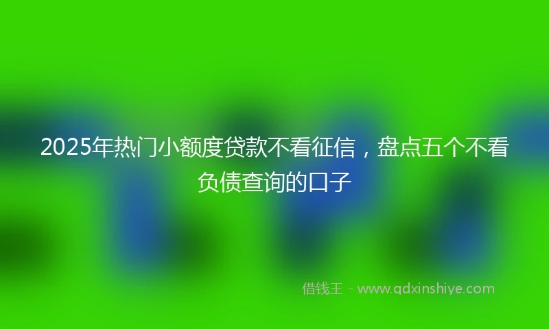 2025年热门小额度贷款不看征信，盘点五个不看负债查询的口子