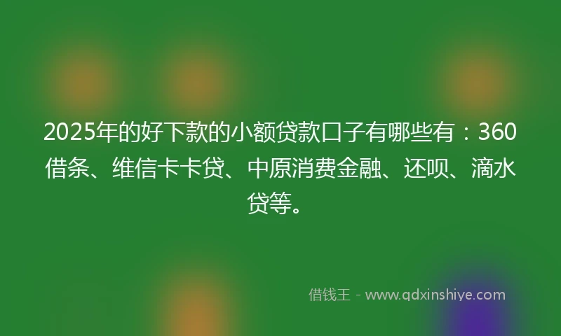2025年的好下款的小额贷款口子有哪些有：360借条、维信卡卡贷、中原消费金融、还呗、滴水贷等。