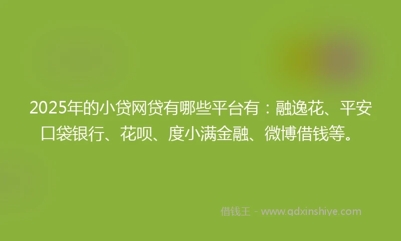 2025年的小贷网贷有哪些平台有：融逸花、平安口袋银行、花呗、度小满金融、微博借钱等。