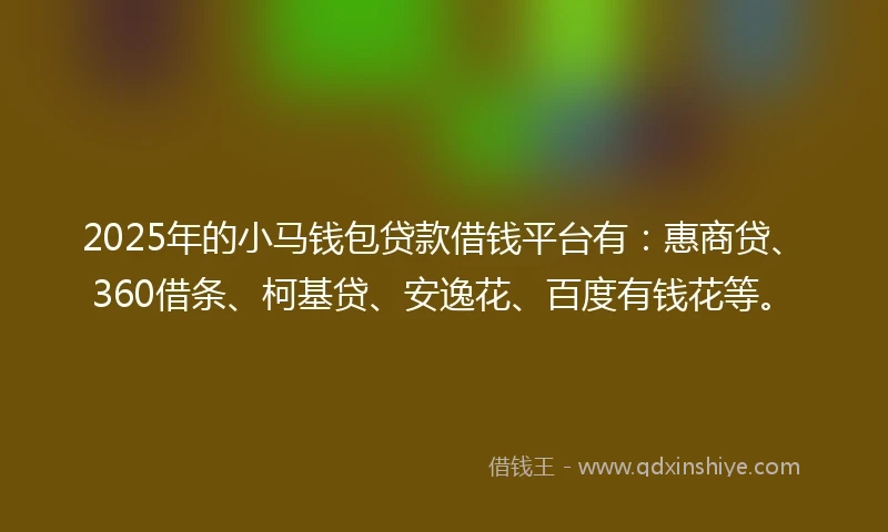 2025年的小马钱包贷款借钱平台有：惠商贷、360借条、柯基贷、安逸花、百度有钱花等。