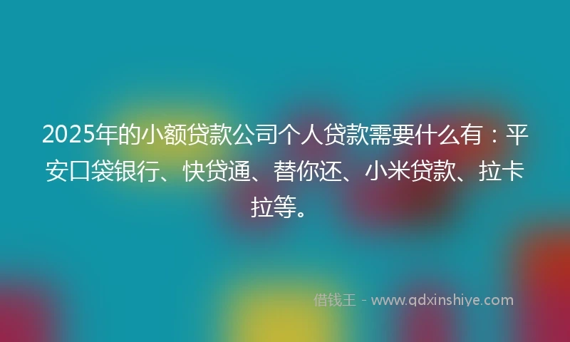 2025年的小额贷款公司个人贷款需要什么有：平安口袋银行、快贷通、替你还、小米贷款、拉卡拉等。