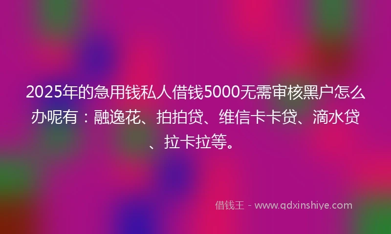 2025年的急用钱私人借钱5000无需审核黑户怎么办呢有：融逸花、拍拍贷、维信卡卡贷、滴水贷、拉卡拉等。