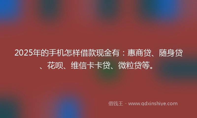 2025年的手机怎样借款现金有：惠商贷、随身贷、花呗、维信卡卡贷、微粒贷等。