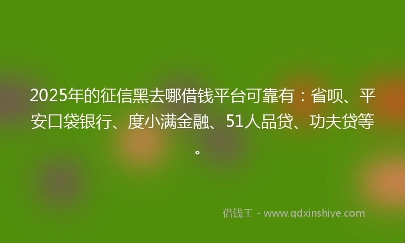 2025年的征信黑去哪借钱平台可靠有：省呗、平安口袋银行、度小满金融、51人品贷、功夫贷等。