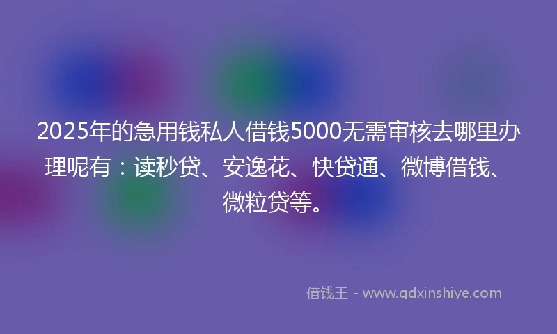 2025年的急用钱私人借钱5000无需审核去哪里办理呢有：读秒贷、安逸花、快贷通、微博借钱、微粒贷等。