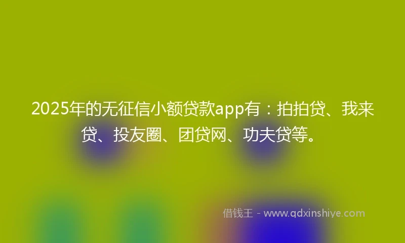 2025年的无征信小额贷款app有：拍拍贷、我来贷、投友圈、团贷网、功夫贷等。