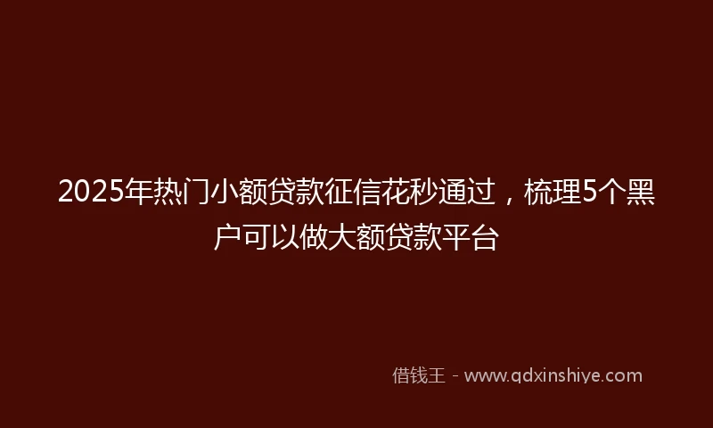 2025年热门小额贷款征信花秒通过，梳理5个黑户可以做大额贷款平台