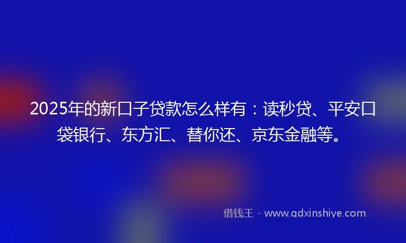 2025年的新口子贷款怎么样有：读秒贷、平安口袋银行、东方汇、替你还、京东金融等。