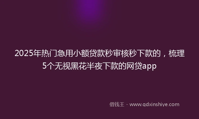 2025年热门急用小额贷款秒审核秒下款的，梳理5个无视黑花半夜下款的网贷app