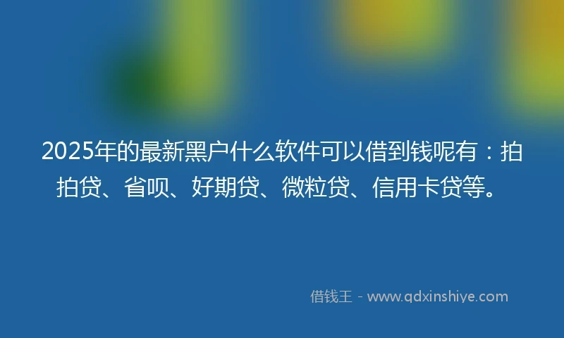 2025年的最新黑户什么软件可以借到钱呢有：拍拍贷、省呗、好期贷、微粒贷、信用卡贷等。
