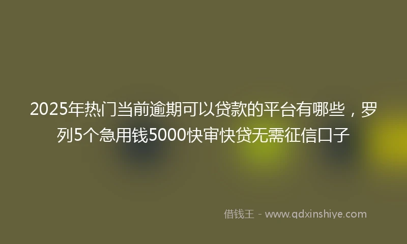 2025年热门当前逾期可以贷款的平台有哪些，罗列5个急用钱5000快审快贷无需征信口子