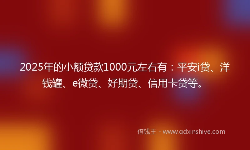 2025年的小额贷款1000元左右有：平安i贷、洋钱罐、e微贷、好期贷、信用卡贷等。