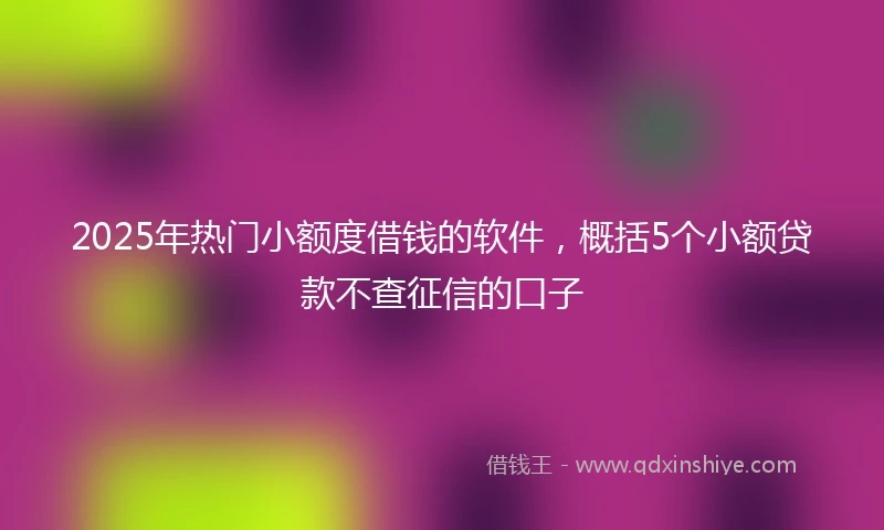 2025年热门小额度借钱的软件，概括5个小额贷款不查征信的口子
