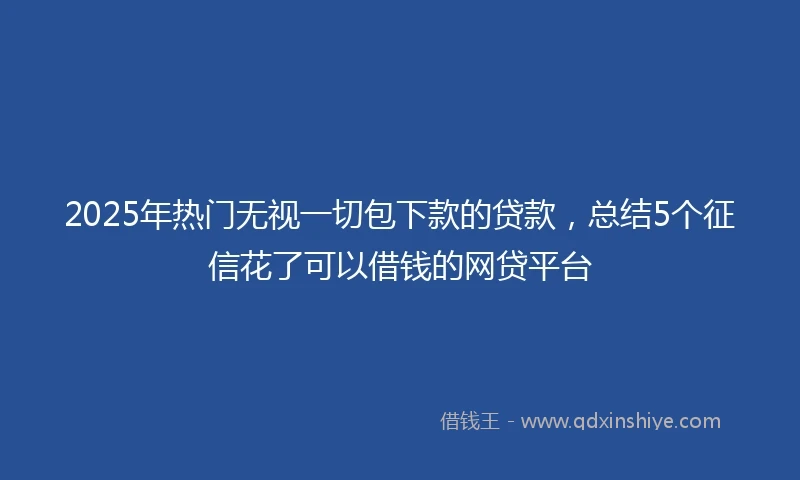 2025年热门无视一切包下款的贷款，总结5个征信花了可以借钱的网贷平台