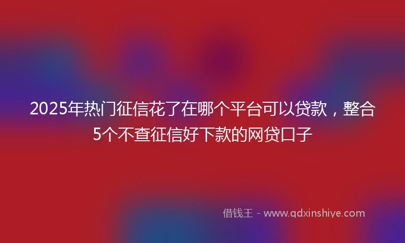 2025年热门征信花了在哪个平台可以贷款，整合5个不查征信好下款的网贷口子