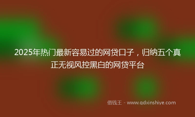 2025年热门最新容易过的网贷口子，归纳五个真正无视风控黑白的网贷平台