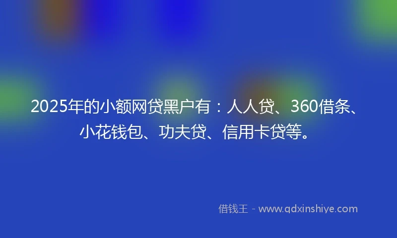2025年的小额网贷黑户有：人人贷、360借条、小花钱包、功夫贷、信用卡贷等。