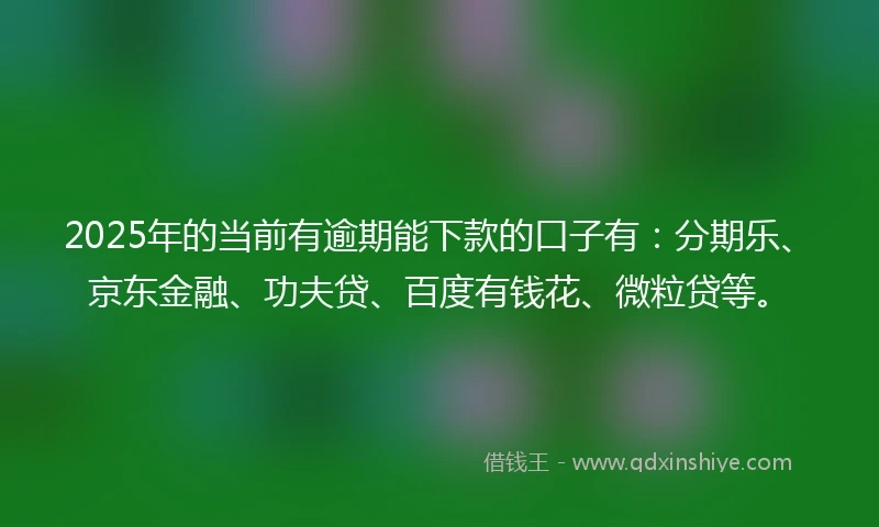 2025年的当前有逾期能下款的口子有：分期乐、京东金融、功夫贷、百度有钱花、微粒贷等。