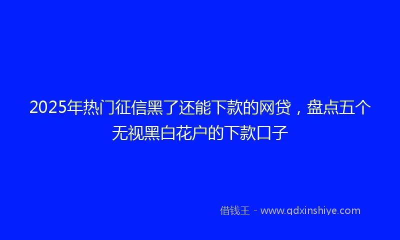 2025年热门征信黑了还能下款的网贷，盘点五个无视黑白花户的下款口子