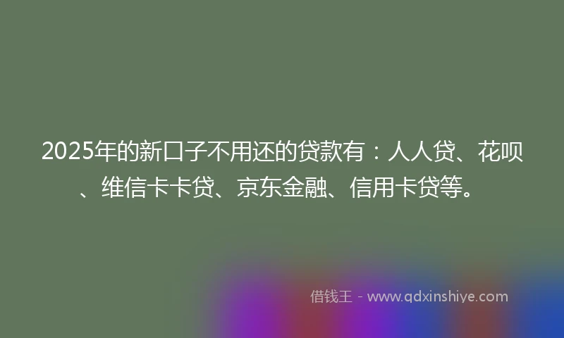2025年的新口子不用还的贷款有：人人贷、花呗、维信卡卡贷、京东金融、信用卡贷等。