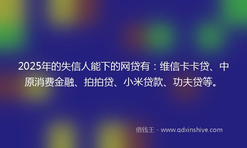 2025年的失信人能下的网贷有：维信卡卡贷、中原消费金融、拍拍贷、小米贷款、功夫贷等。