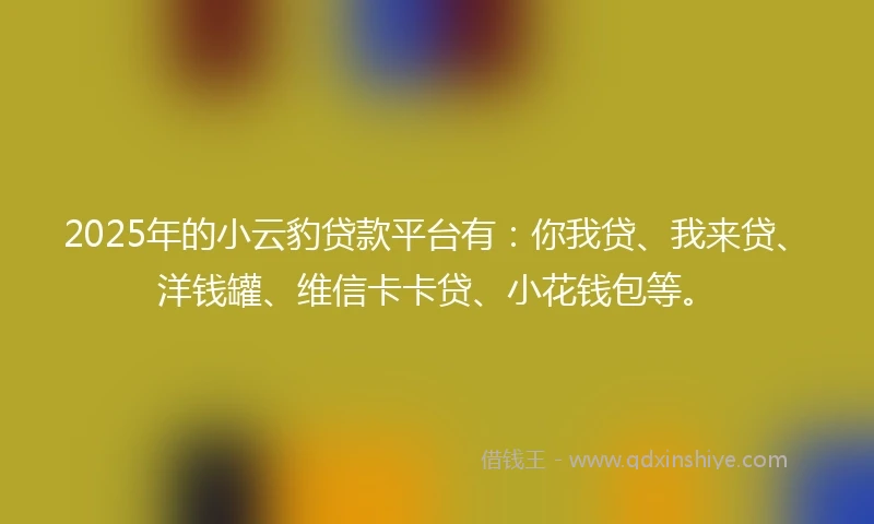2025年的小云豹贷款平台有：你我贷、我来贷、洋钱罐、维信卡卡贷、小花钱包等。