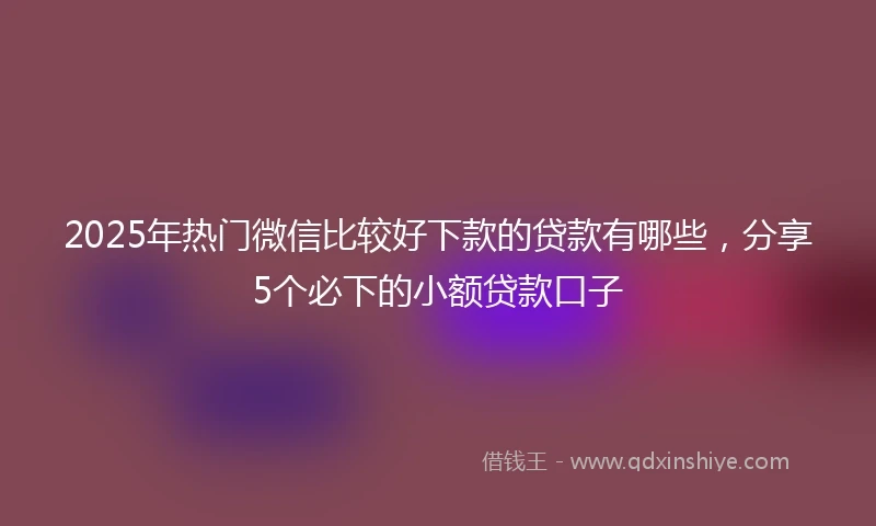 2025年热门微信比较好下款的贷款有哪些，分享5个必下的小额贷款口子