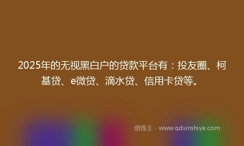 2025年的无视黑白户的贷款平台有：投友圈、柯基贷、e微贷、滴水贷、信用卡贷等。