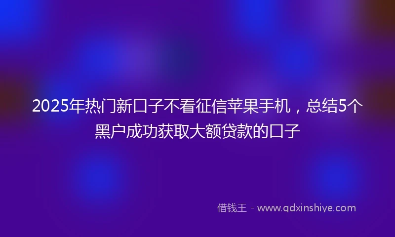 2025年热门新口子不看征信苹果手机，总结5个黑户成功获取大额贷款的口子