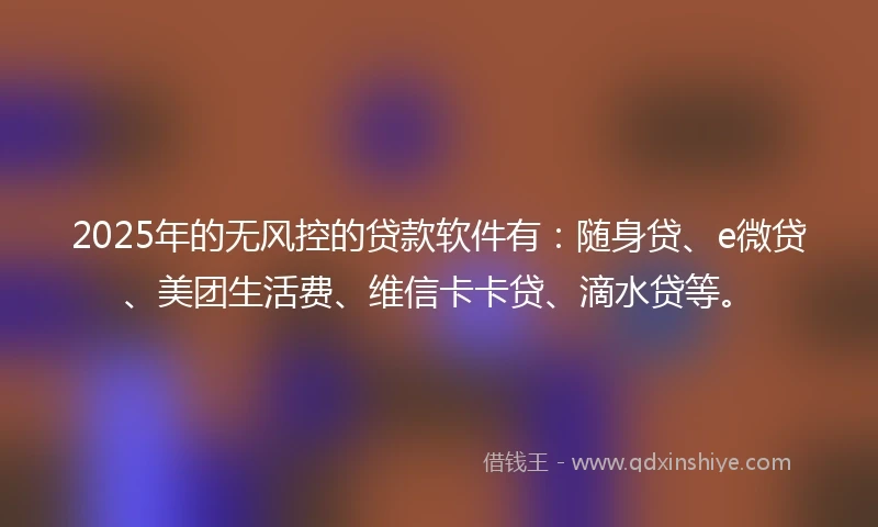 2025年的无风控的贷款软件有：随身贷、e微贷、美团生活费、维信卡卡贷、滴水贷等。