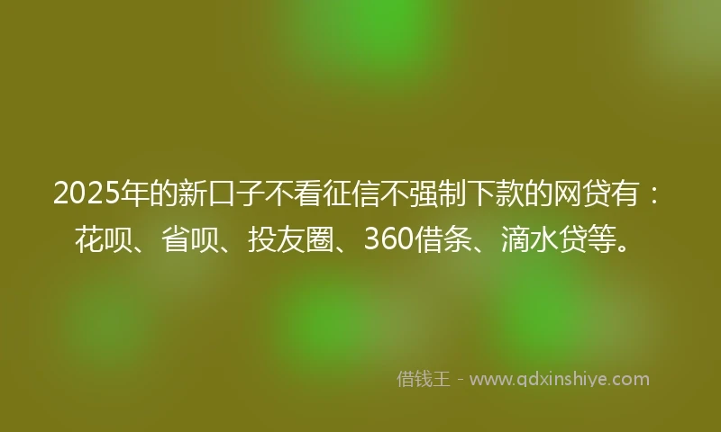2025年的新口子不看征信不强制下款的网贷有：花呗、省呗、投友圈、360借条、滴水贷等。