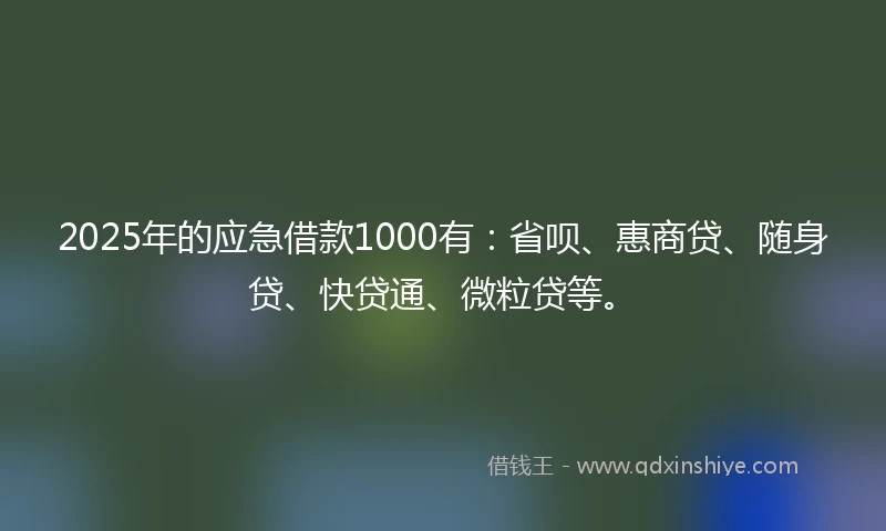 2025年的应急借款1000有：省呗、惠商贷、随身贷、快贷通、微粒贷等。