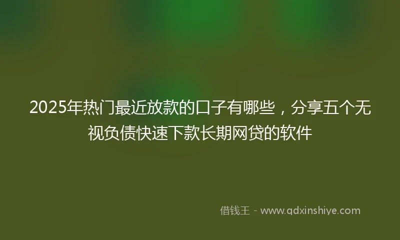 2025年热门最近放款的口子有哪些，分享五个无视负债快速下款长期网贷的软件