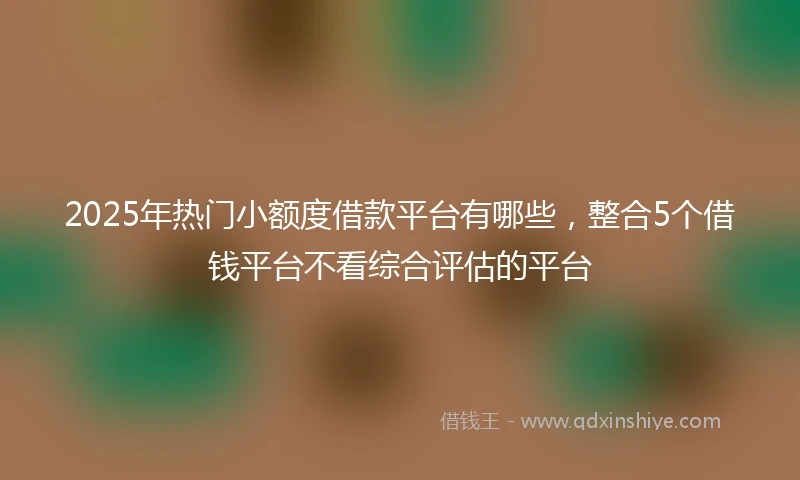 2025年热门小额度借款平台有哪些，整合5个借钱平台不看综合评估的平台
