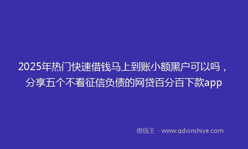2025年热门快速借钱马上到账小额黑户可以吗，分享五个不看征信负债的网贷百分百下款app