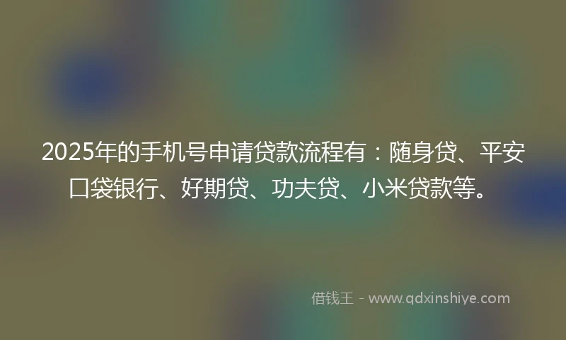 2025年的手机号申请贷款流程有：随身贷、平安口袋银行、好期贷、功夫贷、小米贷款等。