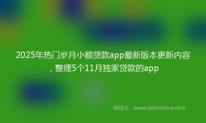 2025年热门岁月小额贷款app最新版本更新内容，整理5个11月独家贷款的app