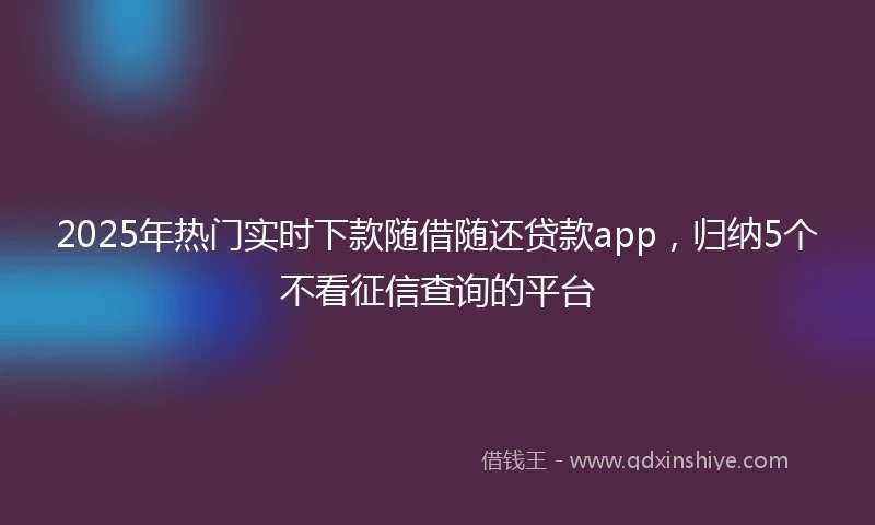 2025年热门实时下款随借随还贷款app,归纳5个不看征信查询的平台
