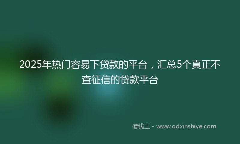 2025年热门容易下贷款的平台，汇总5个真正不查征信的贷款平台