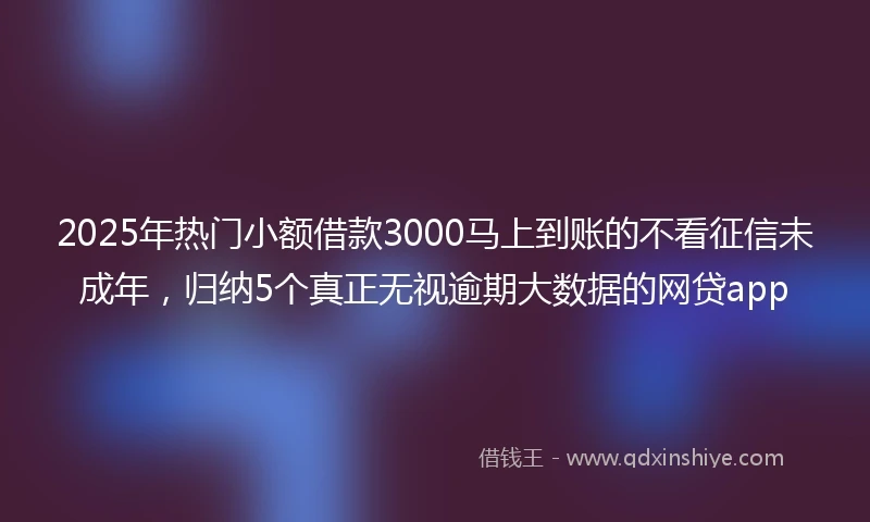 2025年热门小额借款3000马上到账的不看征信未成年，归纳5个真正无视逾期大数据的网贷app