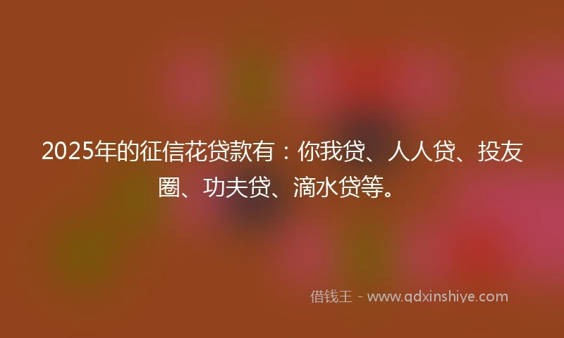 2025年的征信花贷款有：你我贷、人人贷、投友圈、功夫贷、滴水贷等。